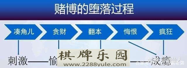 网赌一天输掉20万事什么感受短短两分钟让你上头